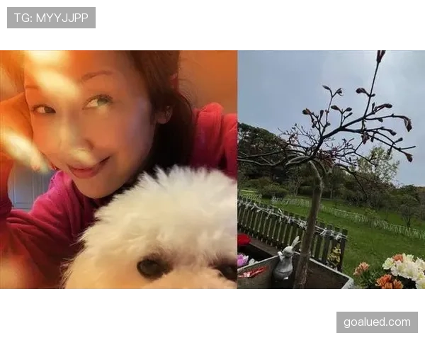 孙悦家的狗吃的都比我一个月工资多 孙悦家的狗吃的都比我一个月工资多